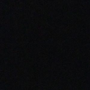 Meet your Posher, Shawntay